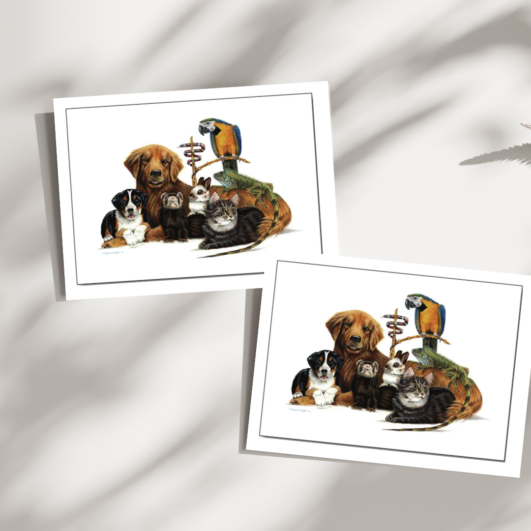 Iguana Oath Note Cards 15PK 5"x7"