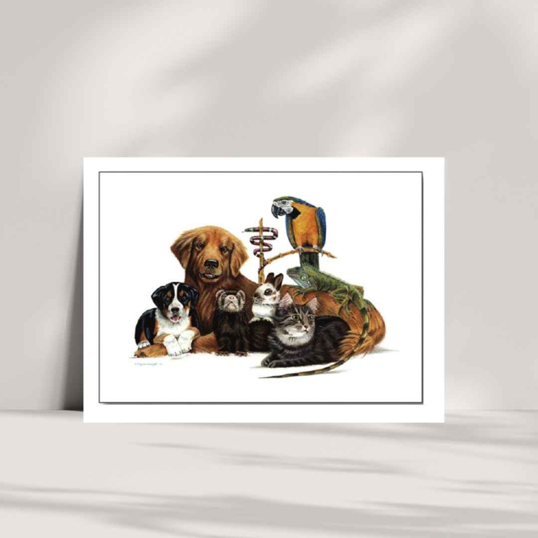 Iguana Oath Note Cards 15PK 5"x7"