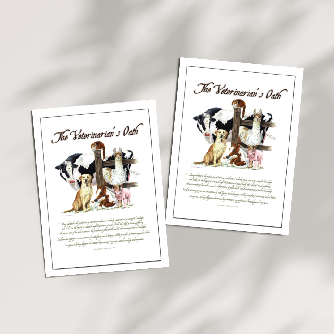 Cow Oath Note Cards 15PK 5"x7"