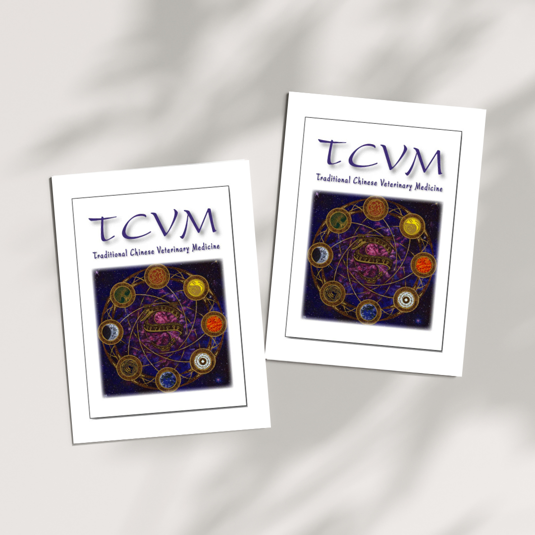 TCVM Mendala Oath Note Cards 15PK 5" x 7"