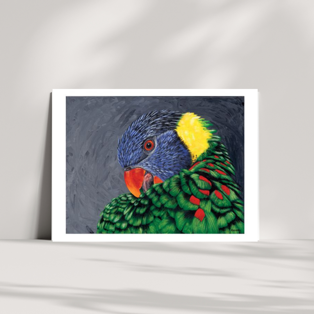 Louis Lorikeet Note Cards 15PK 5"x7"