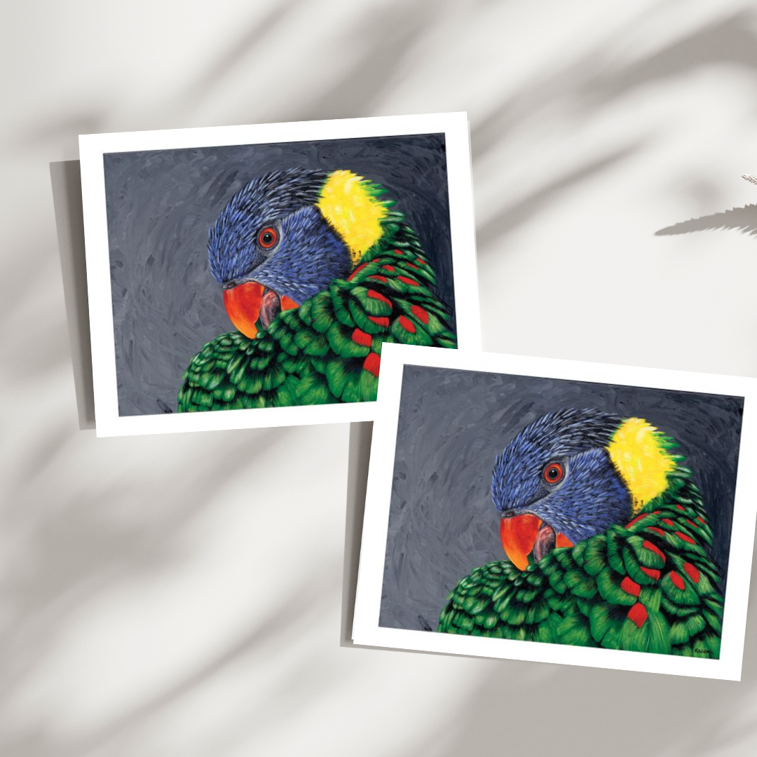 Louis Lorikeet Note Cards 15PK 5"x7"