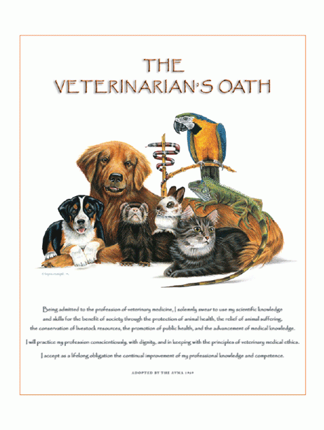 Iguana Veterinarian’s Oath Print 24″x30″