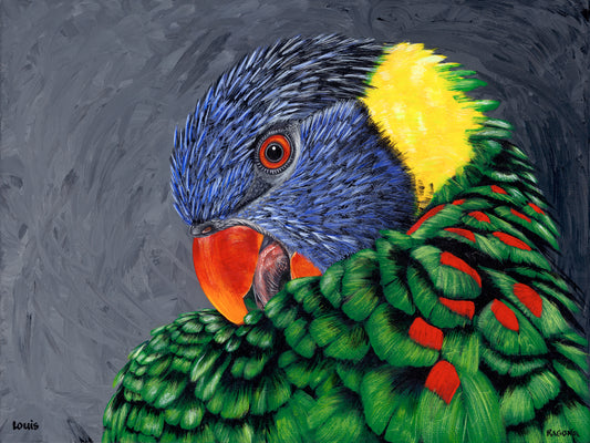 Louis Lorikeet on Canvas Giclee 24" x 18"