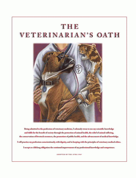 Boxer Veterinarian’s Oath Print 24″x30″