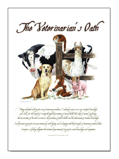 Cow Oath Note Cards 15PK 5"x7"