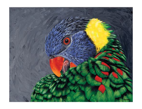 Louis Lorikeet Note Cards 15PK 5"x7"