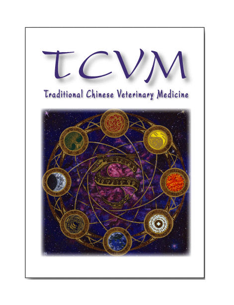 TCVM Mendala Oath Note Cards 15PK 5" x 7"