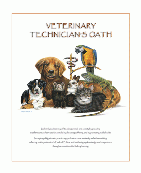 Iguana Veterinary Tech Oath Print 24″x30″